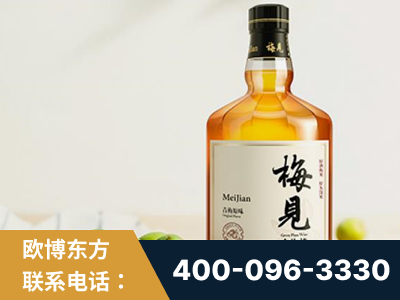 开封-梅见青梅酒
